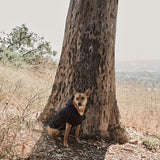 The Dog Hoodie // 17th & Bark By Hiro Clark