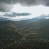 Catskills // The Graham & Co. x Hiro Clark