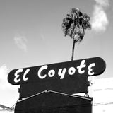 El Coyote