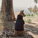 The Dog Hoodie // 17th & Bark By Hiro Clark