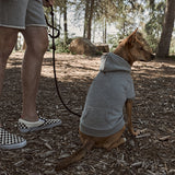 The Dog Hoodie // 17th & Bark By Hiro Clark