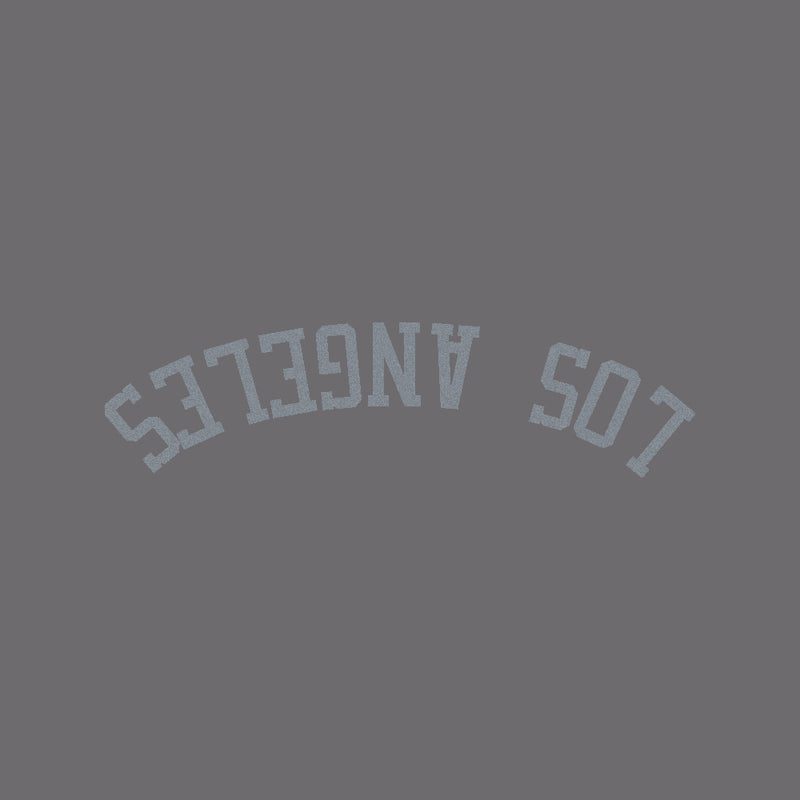 #color_morning grey with blue graphic