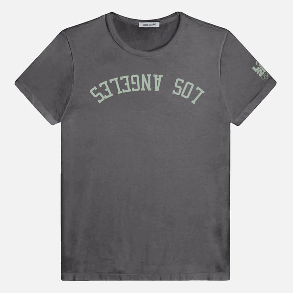 #color_morning grey with green graphic
