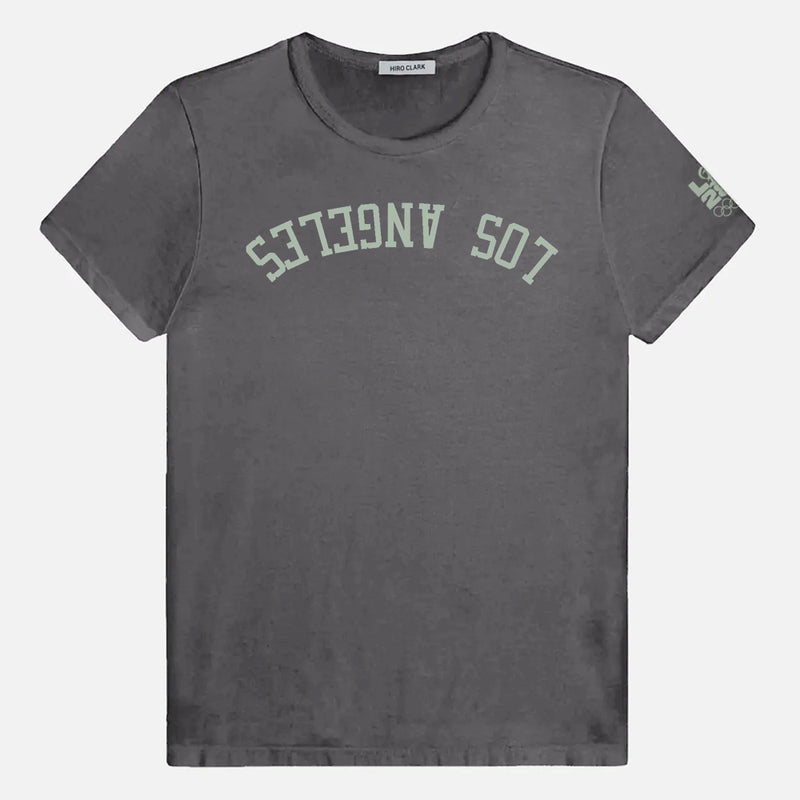#color_morning grey with green graphic
