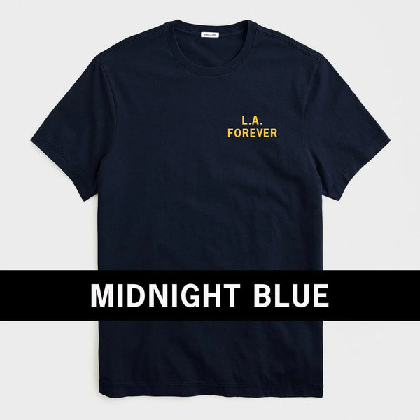 #color_navy with orange graphic